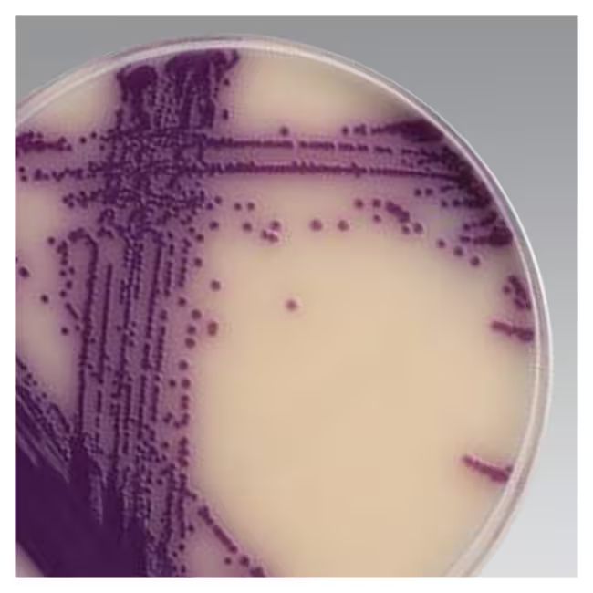 BRILLIANCE SALMONELLA AGAR BASE (500)