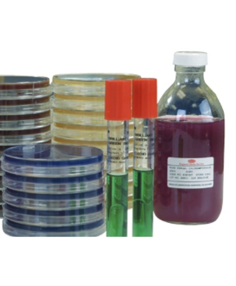 AGAR WATER PLATE COUNT 200 ML (10)