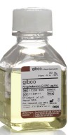 ANFOTERICINA B (50ML)
