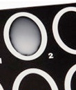 ZZ_CAMPYLOBACTER LATEX KIT (50)