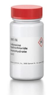 LIDOCAINA (15)