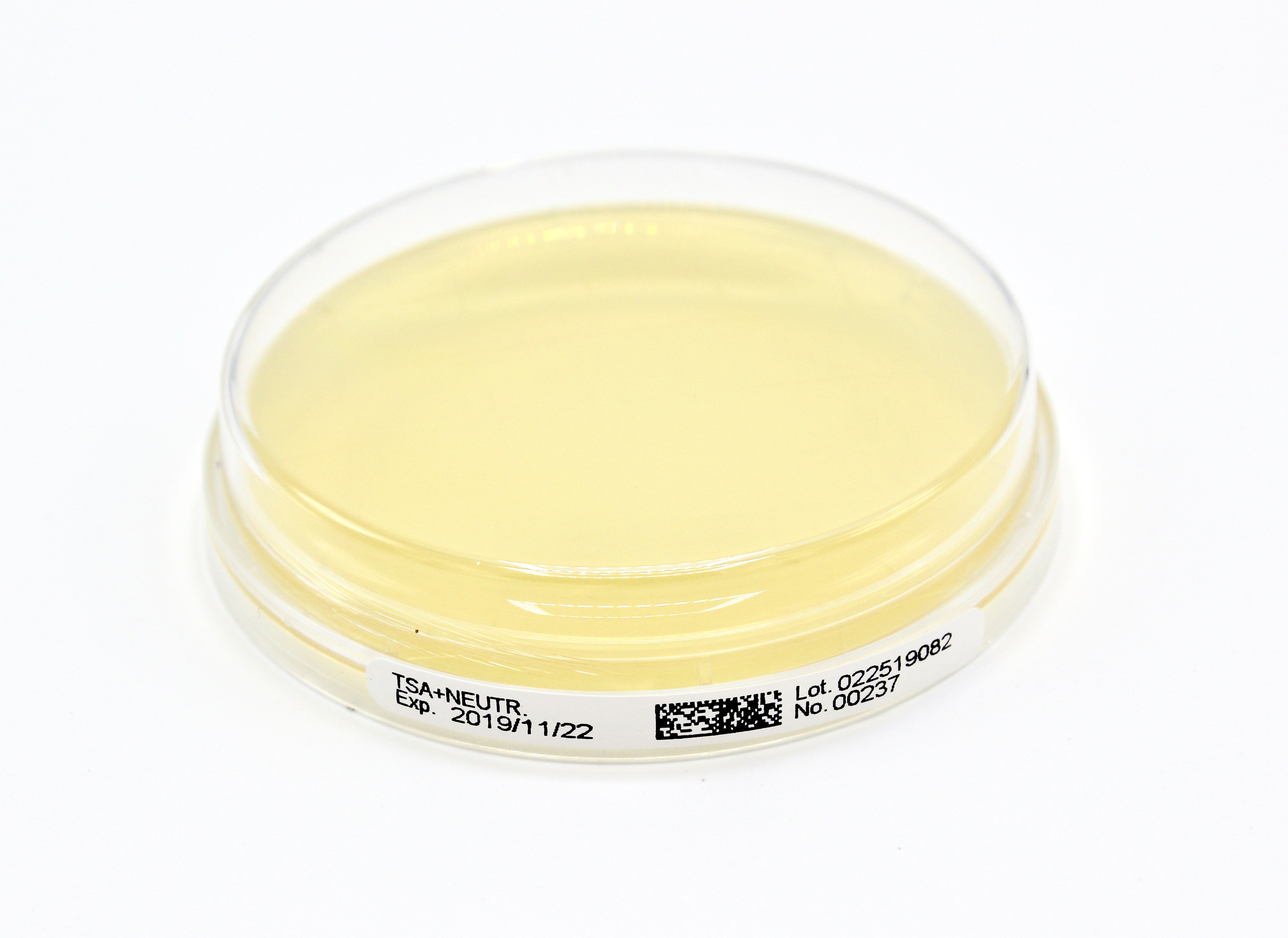 PLACA PREPARADA CONTANTO VRBG + NEUTRALIZANTE (20)
