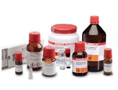TRYPSIN SOLUTION FROM PORCINE PANCREAS (100 ML)