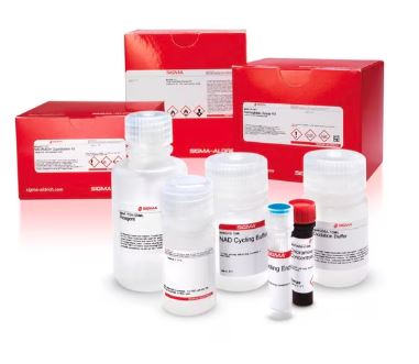 KIT PEROXIDACION LIPIDOS MDA (100)