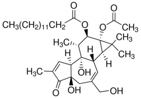 PHORBO 12-MYRISTATE 13-ACETATE ≥99% (TLC) (1 MG)