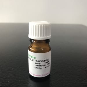 AMPICILLIN SODIUM (10)