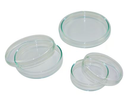 PLACA PETRI VIDRIO 40 x 12 MM (10)