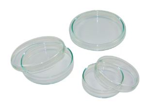 PLACA PETRI VIDRIO 100 x 20 MM (10)